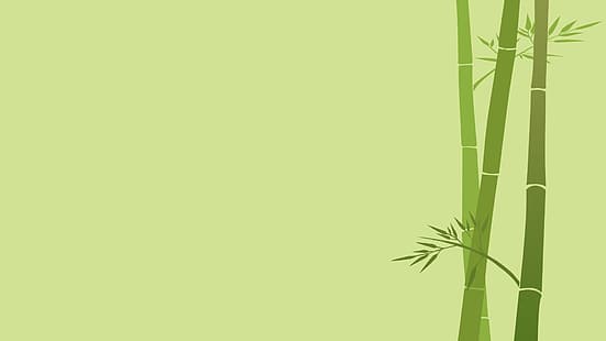 grüner Hintergrund, Bambus, HD-Hintergrundbild HD wallpaper