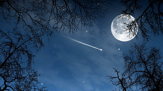 lua cheia, árvore, noite, ramo, céu noturno, estrelas, lua, HD papel de parede HD wallpaper