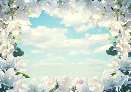 กรอบดอกไม้!, ดอกไม้สีขาวและสีเขียวและภาพถ่ายเมฆสีฟ้าและสีขาว, ธรรมชาติ, กรอบ, ดอกไม้, วอลล์เปเปอร์ HD HD wallpaper