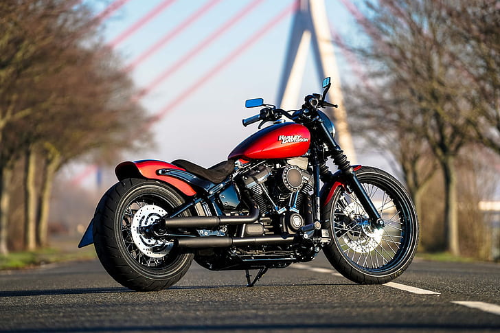 Harley Davidson, Harley-Davidson, motocicleta, bicicleta pesada, custom, puente, cromo, Fondo de pantalla HD