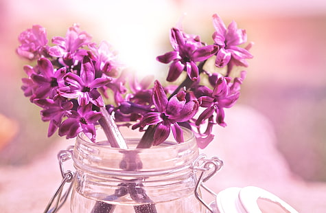Lila hyacintbukett, säsonger, vår, blomma, rosa, blommor, vintage, trä, nära, hyacint, söt, solljus, vårtid, bakgrundsbelysning, stillliv, vårblommor, HD tapet HD wallpaper