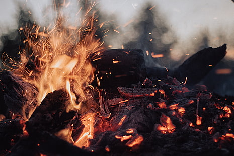 campfire, bonfire, fire, sparks, ash, coals, HD wallpaper HD wallpaper