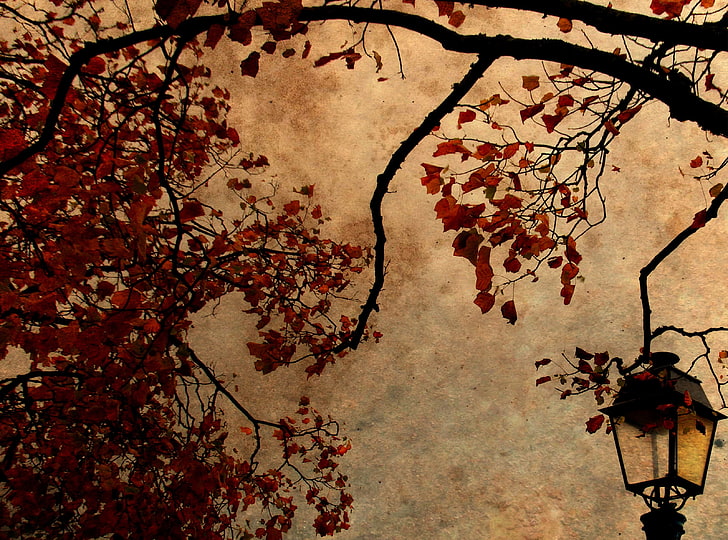 가을, 붉은 잎 나무 그림, 빈티지, 가을, 단풍, 램프 게시물, HD 배경 화면
