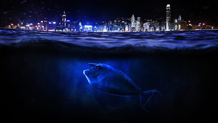 Unterwasser, digitale Kunst, Meer, Stadtbild, HD-Hintergrundbild