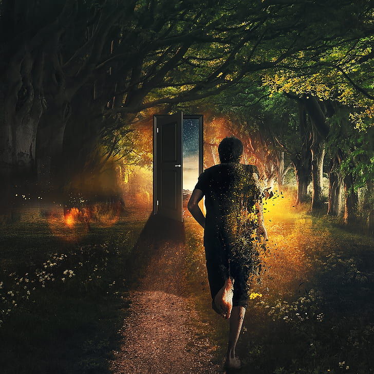 Pria berlari ke gerbang, menghilang, partikel, hutan, Fantasi, Wallpaper HD