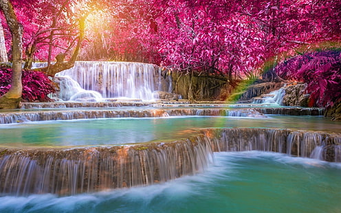 Cachoeiras, cachoeira, folhagem, natureza, arco íris, árvore, HD papel de parede HD wallpaper