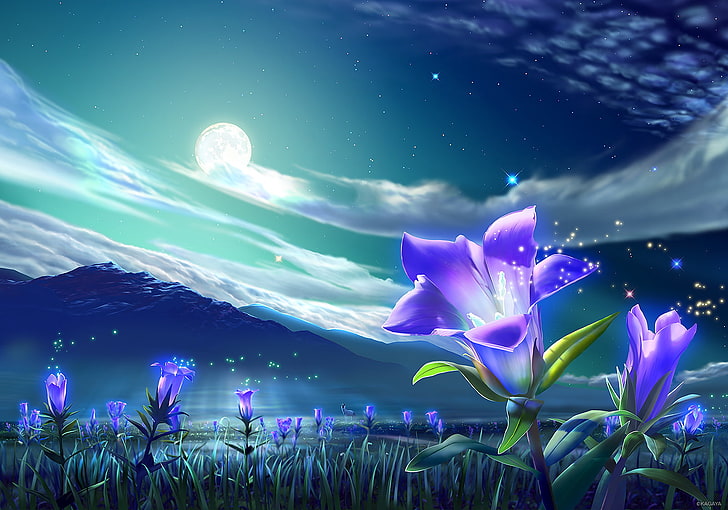 nuvens, flores, grama, paisagem, lua, noite, original, cênico, céu, estrelas, HD papel de parede