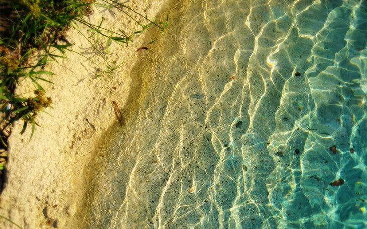 المسطح المائي بجانب الرمال والطبيعة والمياه والرمل والنباتات، خلفية HD