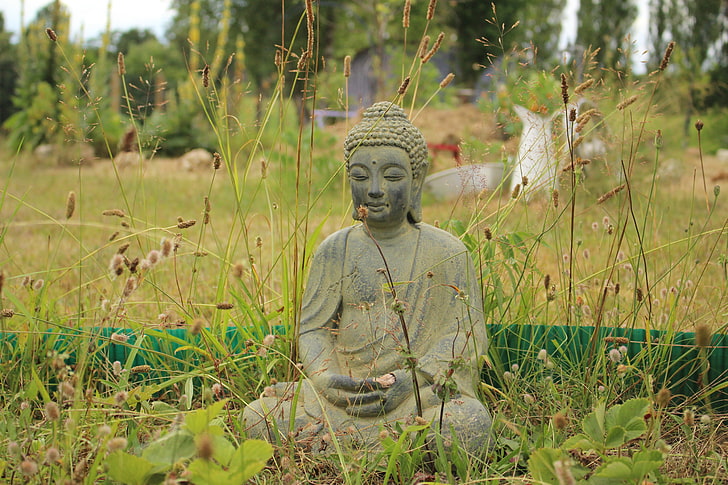 Sculpture de Bouddha Gautama en béton gris, Bouddha, bouddhisme, méditation, herbe, Fond d'écran HD