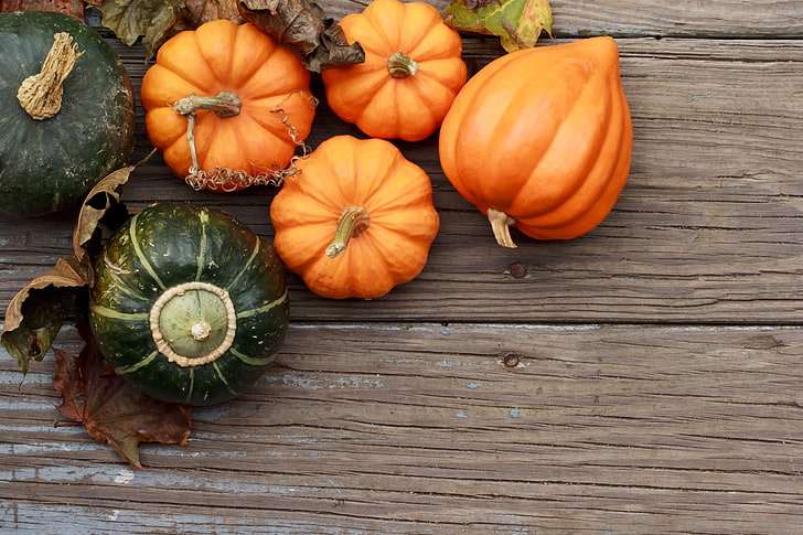 four orange squashes, autumn, leaves, tree, harvest, pumpkin, HD wallpaper