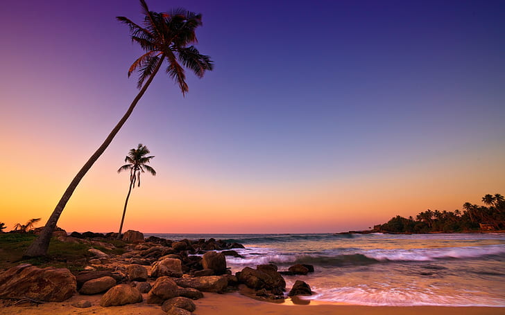 Шри-Ланка закат, море, побережье, пляж, скалы, пальмы, силуэт пальм, Шри-Ланка, закат, море, побережье, пляж, скалы, пальмы, деревья, HD обои