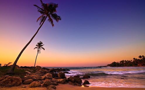 Шри-Ланка закат, море, побережье, пляж, скалы, пальмы, силуэт пальм, Шри-Ланка, закат, море, побережье, пляж, скалы, пальмы, деревья, HD обои HD wallpaper