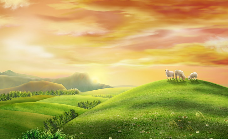 Sheeps, three white lambs, Holidays, Easter, Sheeps, HD wallpaper