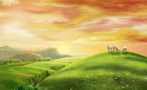 Sheeps, three white lambs, Holidays, Easter, Sheeps, HD wallpaper HD wallpaper