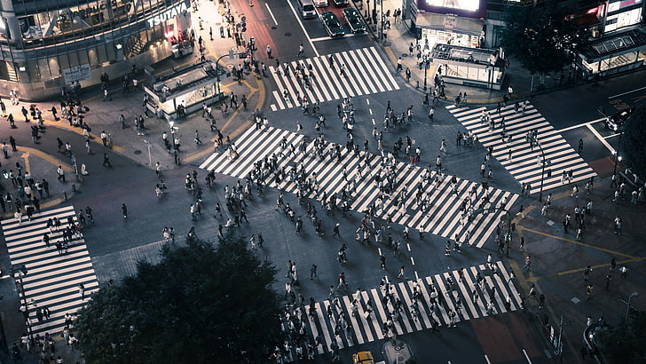 bird's eye view photo of people crossing streets, city, Tokyo, intersections, Shibuya, HD wallpaper