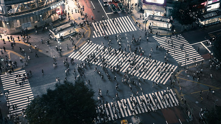 Shibuya, city, Tokyo, intersections, HD wallpaper