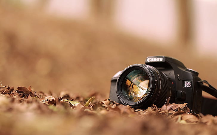 Canon EOS 30D, appareil photo, photo, professionnel, canon, Fond d'écran HD