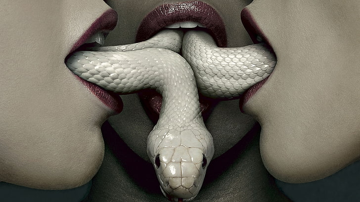 ular putih, ular, American Horror Story, horor, Wallpaper HD