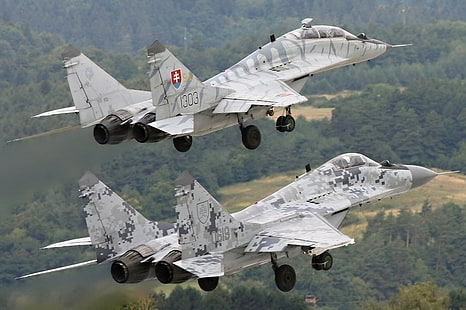 Zwei graue Kampfjets, Mig-29, Militärflugzeuge, Tarnung, Slowakei, HD-Hintergrundbild HD wallpaper