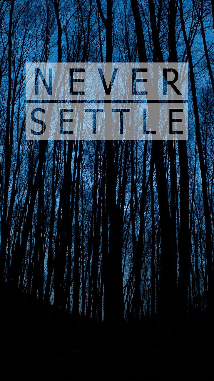 oneplus, Never Settle, forest, portrait display, HD wallpaper