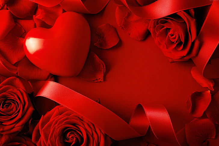 Сердце, любовь, День Святого Валентина, лента, роза, романтика, красный, HD обои
