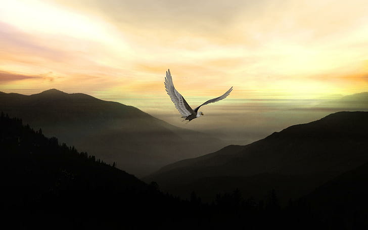 Höhen, Bryce 3d, Landschaft, Adler, 3d und abstrakt, HD-Hintergrundbild