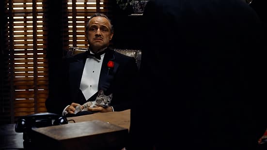 El padrino, Vito Corleone, películas, fotogramas de películas, Marlon Brando, gatos, mesa, teléfono, silla, mafia, gángster, Fondo de pantalla HD HD wallpaper