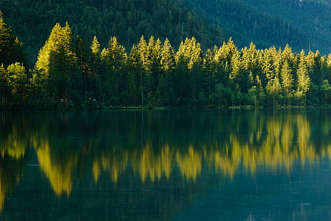 body of water near trees, body of water, Berchtesgadener Land, Hintersee, Bayern, Bäume, Trees, Lake, Alps  Mountains, Berge, Urlaub, Holiday, Natur, Nature, Morning, Licht, Morgen, Light, Wasser, Bavaria, Deutschland, Germany, forest, landscape, tree, scenics, outdoors, water, autumn, mountain, beauty In Nature, reflection, woodland, tranquil Scene, HD wallpaper HD wallpaper
