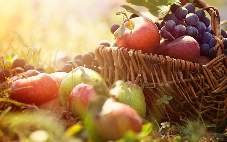 lote de frutas sortidas, uvas, maçãs, cesta, HD papel de parede