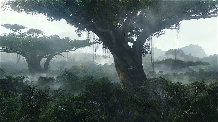 Avatar Tree Forest HD, zielone drzewa liściaste, filmy, las, drzewo, awatar, Tapety HD