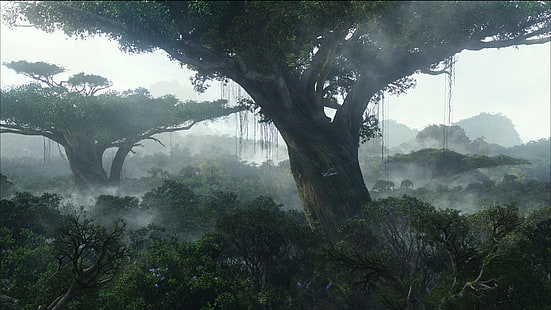 Аватар Tree Forest HD, зеленые лиственные деревья, фильмы, лес, дерево, аватар, HD обои HD wallpaper