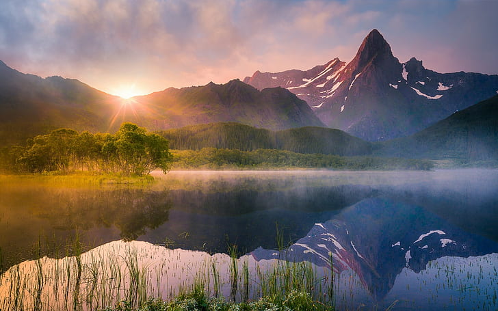 自然、風景、湖、反射、水、夏、山、霧、ノルウェー、木、森、野生の花、 HDデスクトップの壁紙