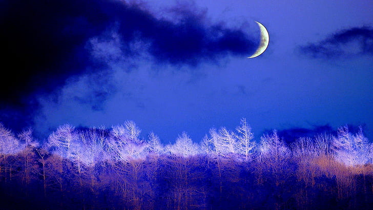 półksiężyc, księżyc, niebo, niebieski, zimowa noc, las, światło księżyca, noc, ciemność, wieczór, cumulus, niebiańskie wydarzenie, Tapety HD