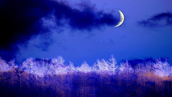 crescent, moon, sky, blue, winter night, forest, moonlight, night, darkness, evening, cumulus, celestial event, HD wallpaper HD wallpaper