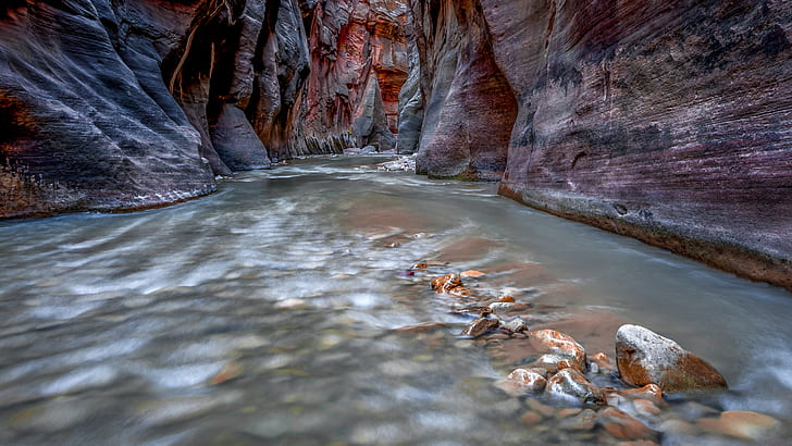 Zion National Park, nära Springdale, Utah Canyon är en del av North Fork of the Virgin River Hd Wallpaper 2560 × 1440, HD tapet