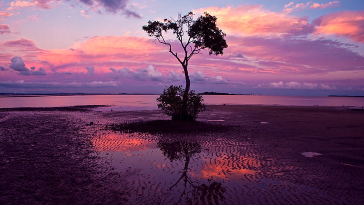 ภูมิทัศน์ธรรมชาติพระอาทิตย์ตกภาพสะท้อนต้นไม้น้ำทราย, วอลล์เปเปอร์ HD