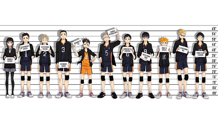 Anime Charaktere posieren für Fahndungsfoto digitale Tapete, Haikyuu, Haikyuu !!, HD-Hintergrundbild