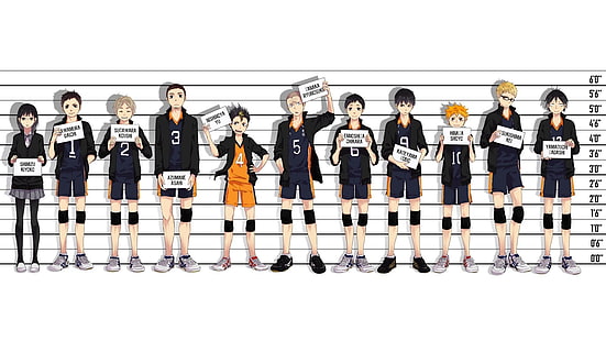personagens de anime posando para o papel de parede digital de tiro de caneca, Haikyuu, Haikyuu !!, HD papel de parede HD wallpaper