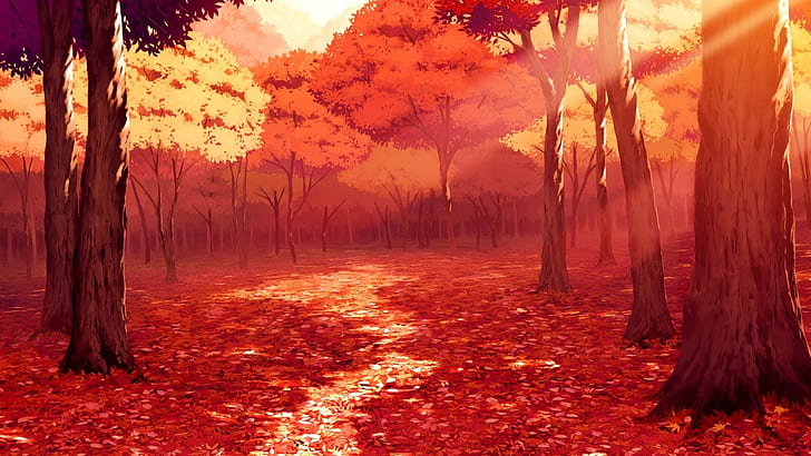 Floresta mágica de anime, floresta legal de anime papel de parede HD