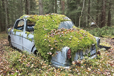 samochód, pojazd, wrak, opadłe liście, opuszczony, Tapety HD HD wallpaper