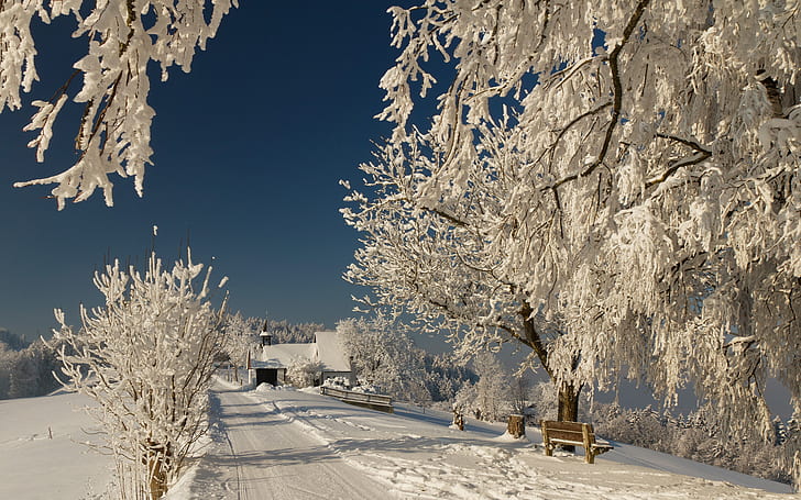 Inverno HD, fotografia, inverno, Sfondo HD
