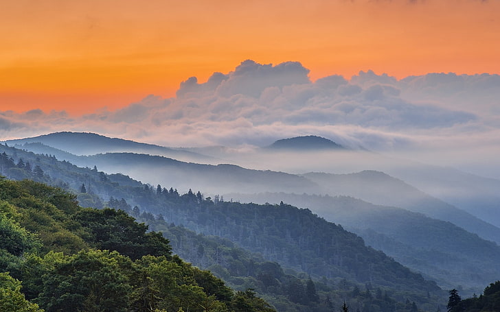 nature, landscape, mountains, clouds, mist, forest, sky, green, orange, HD wallpaper
