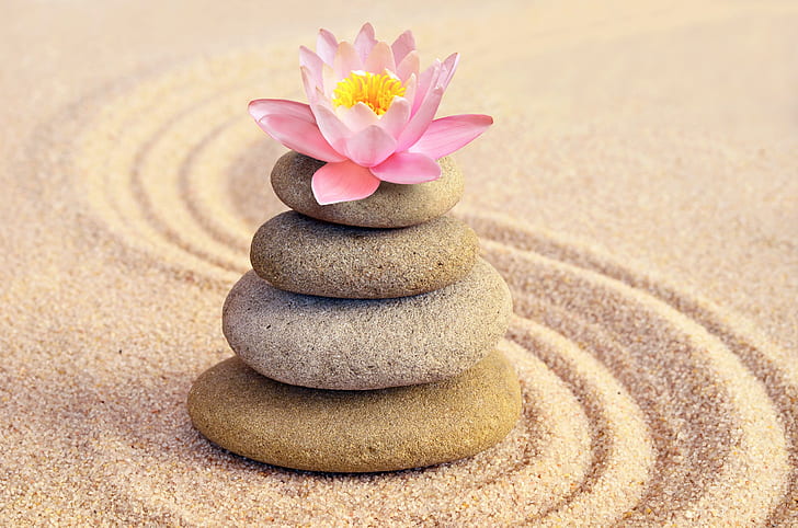 Sand, Blume, Steine, Lotus, Rosa, Badekurort, Zen, HD-Hintergrundbild