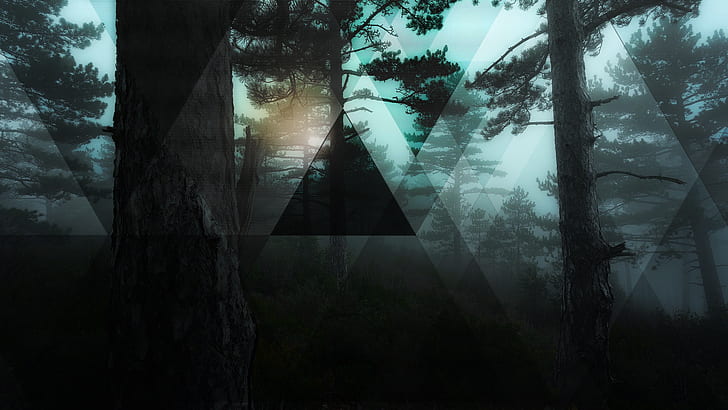 полискап, лес, цифровое искусство, деревья, темнота, треугольник, HD обои