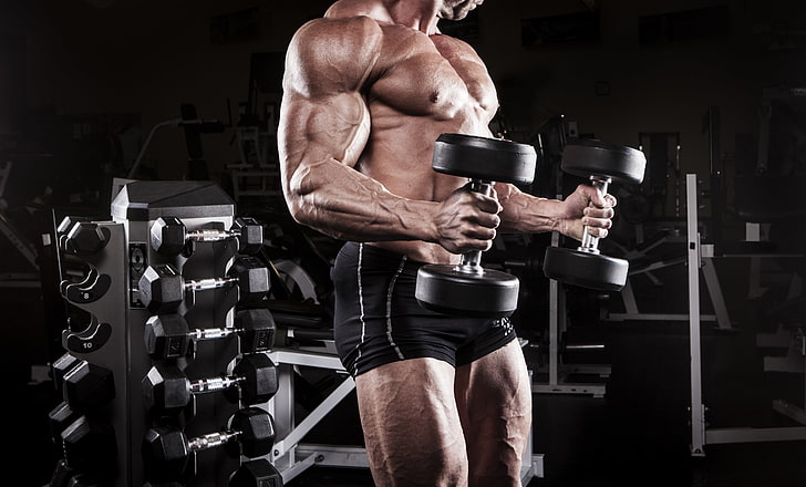 kaki, kekuatan, pria, otot, gym, binaragawan, biskep, Wallpaper HD