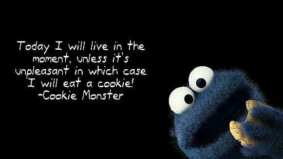 Citazione Cookie Monster, mostri cookie, citazioni, 1920x1080, cookie monster, Sfondo HD HD wallpaper