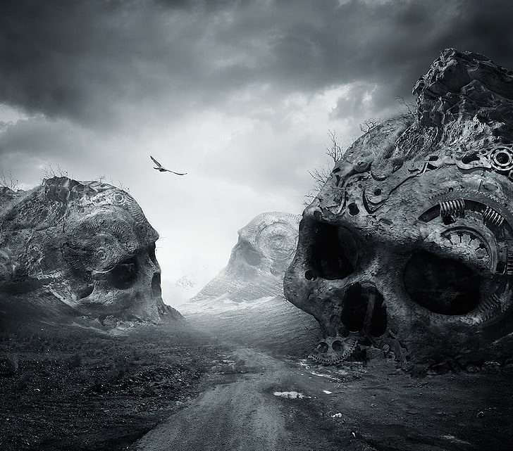 three skulls, nature, landscape, dirtroad, death, monochrome, birds, flying, dark, skull, photo manipulation, HD wallpaper