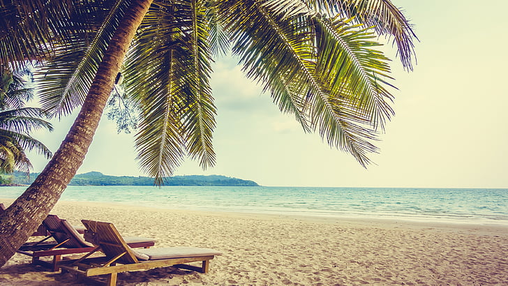 tatil, rahatlatıcı, palmiye, sakin ol, yaz, güneş ışığı, su, okyanus, ağaç, deniz, arecales, palmiye ağacı, kıyı, plaj, gökyüzü, tropik, şezlong, kumlu plaj, HD masaüstü duvar kağıdı