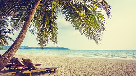 отпуск, расслабляющий, пальма, расслабляться, лето, солнечный свет, вода, океан, дерево, море, ареалы, пальма, берег, пляж, небо, тропики, солярий, песчаный пляж, HD обои HD wallpaper