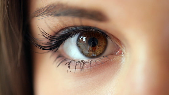 ตาขวาของผู้หญิง, ผู้หญิง, สีน้ำตาล, MarkétaStroblová, ดวงตา, ​​ตาสีน้ำตาล, กล้อง, การสะท้อน, ระยะใกล้, วอลล์เปเปอร์ HD HD wallpaper